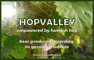 More about beer production and hops 