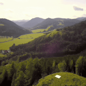 Matkonst i Steiermark: Utforskar regionens traditionella recept